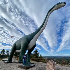 Meet your Posher, Elysis